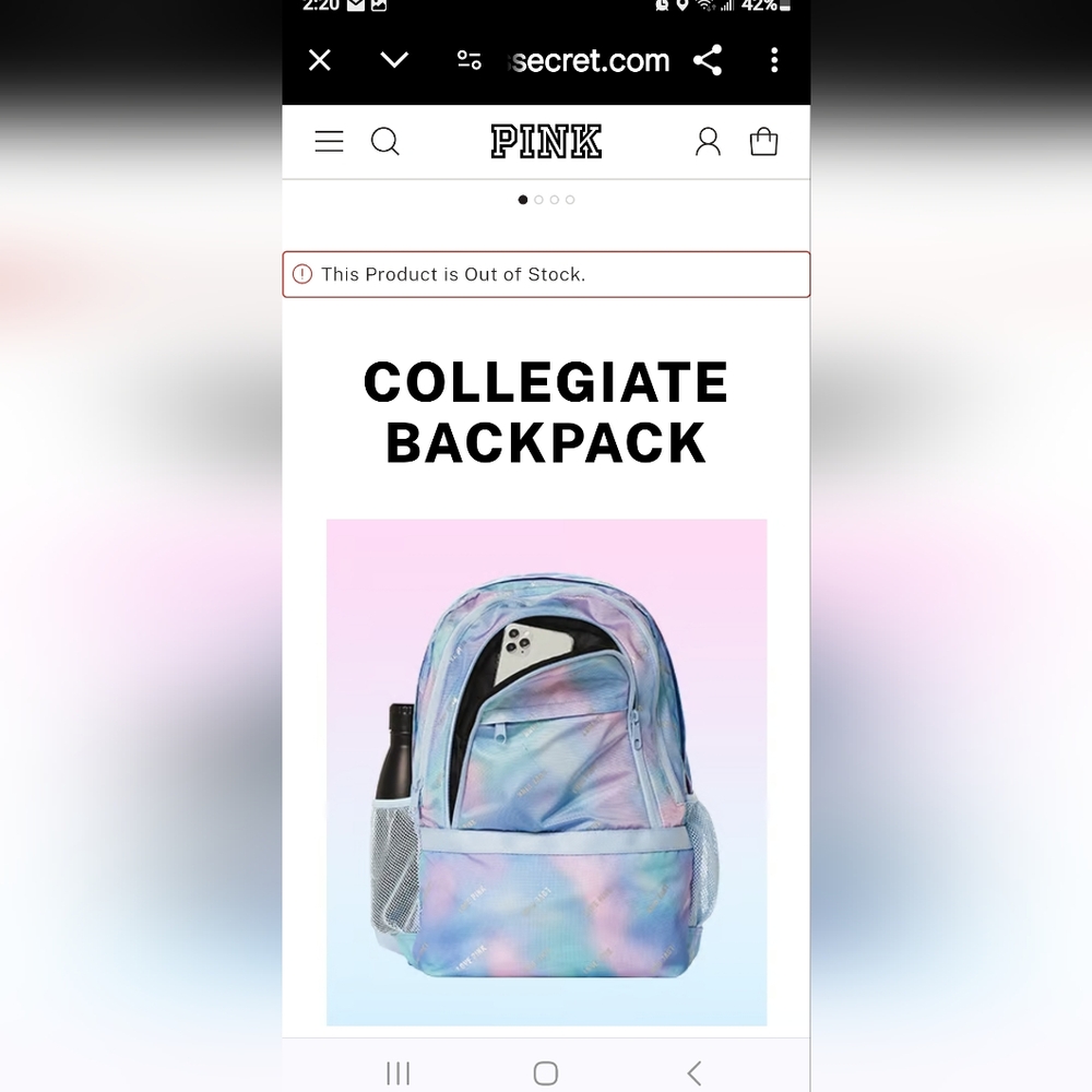 VICTORIA SECRET PINK BACKPACK - Picture 2 of 12